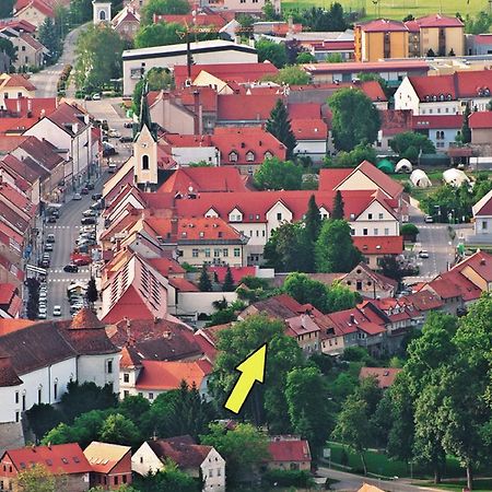 Brežice Apartment Gasa المظهر الخارجي الصورة