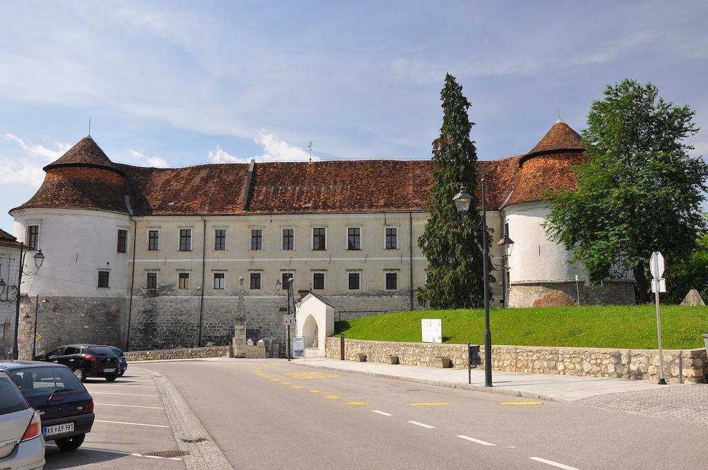 Brežice Apartment Gasa الغرفة الصورة