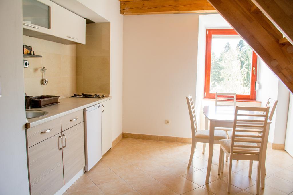 Brežice Apartment Gasa المظهر الخارجي الصورة